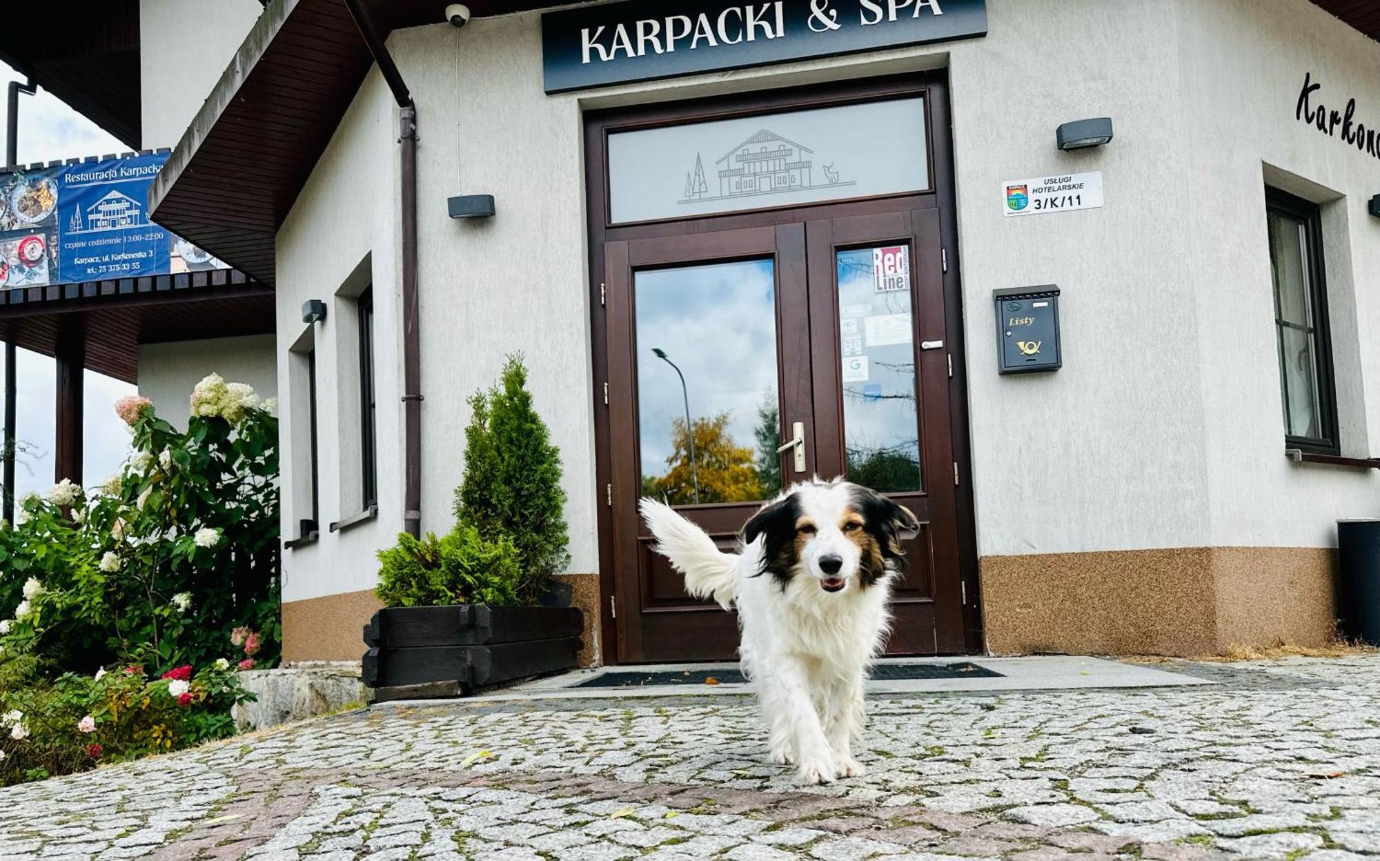 Karpacki & Spa - Blisko Wyciagu, Restauracja, Sala Zabaw, Bar 24H (Adults Only) Karpacz Exterior foto